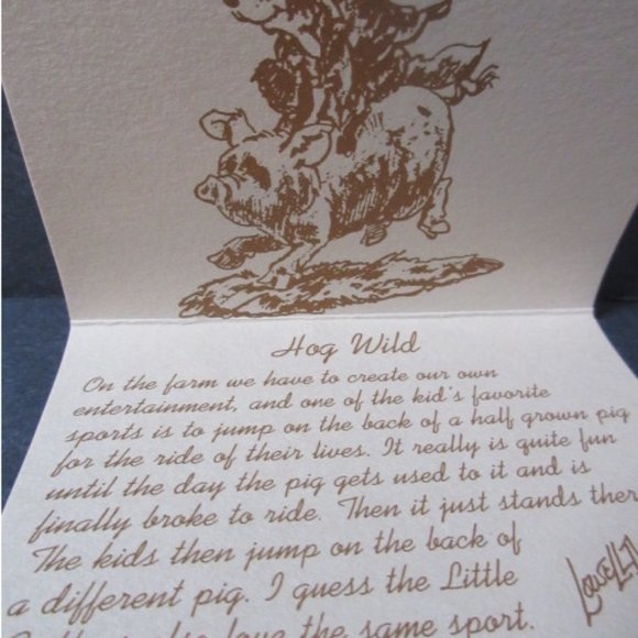 Lowell Davis figurine Hog Wild made in Scotland bu Border Fine Arts in 1988 - Picture 4 of 6